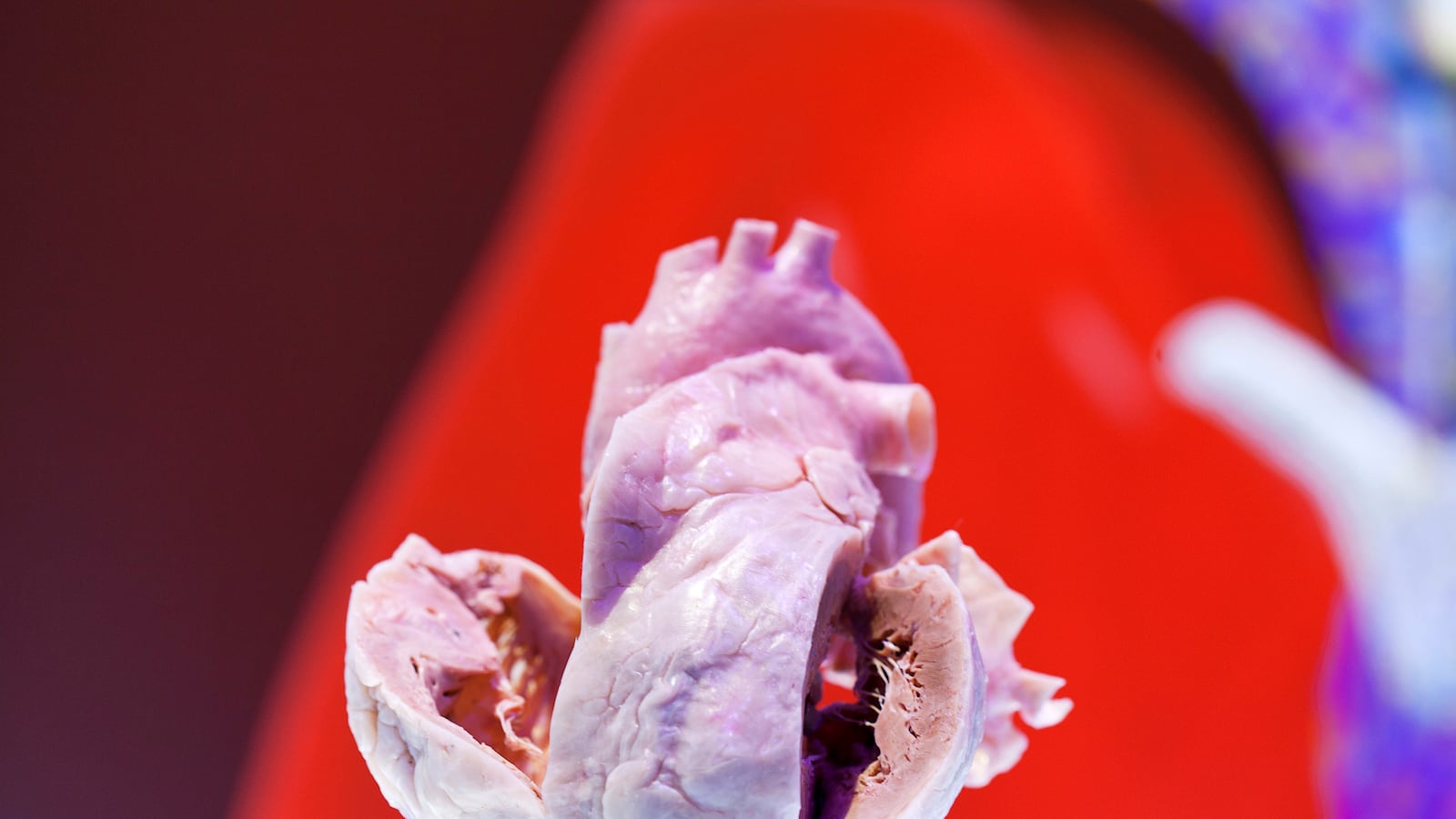 videos/2016/05/18/the-heart-attack-you-didn-t-know-you-had/160517-Place-silent-heart-attacks-Tease_xtqz5r