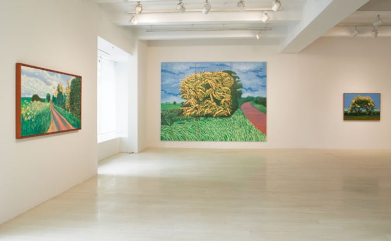 galleries/2009/11/25/david-hockney-s-landscapes/david-hockney-13_ntzsol