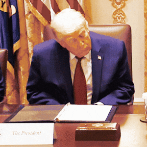 An animated GIF of President Donald Trump appearing to nod off during a roundtable at Ehe White House.