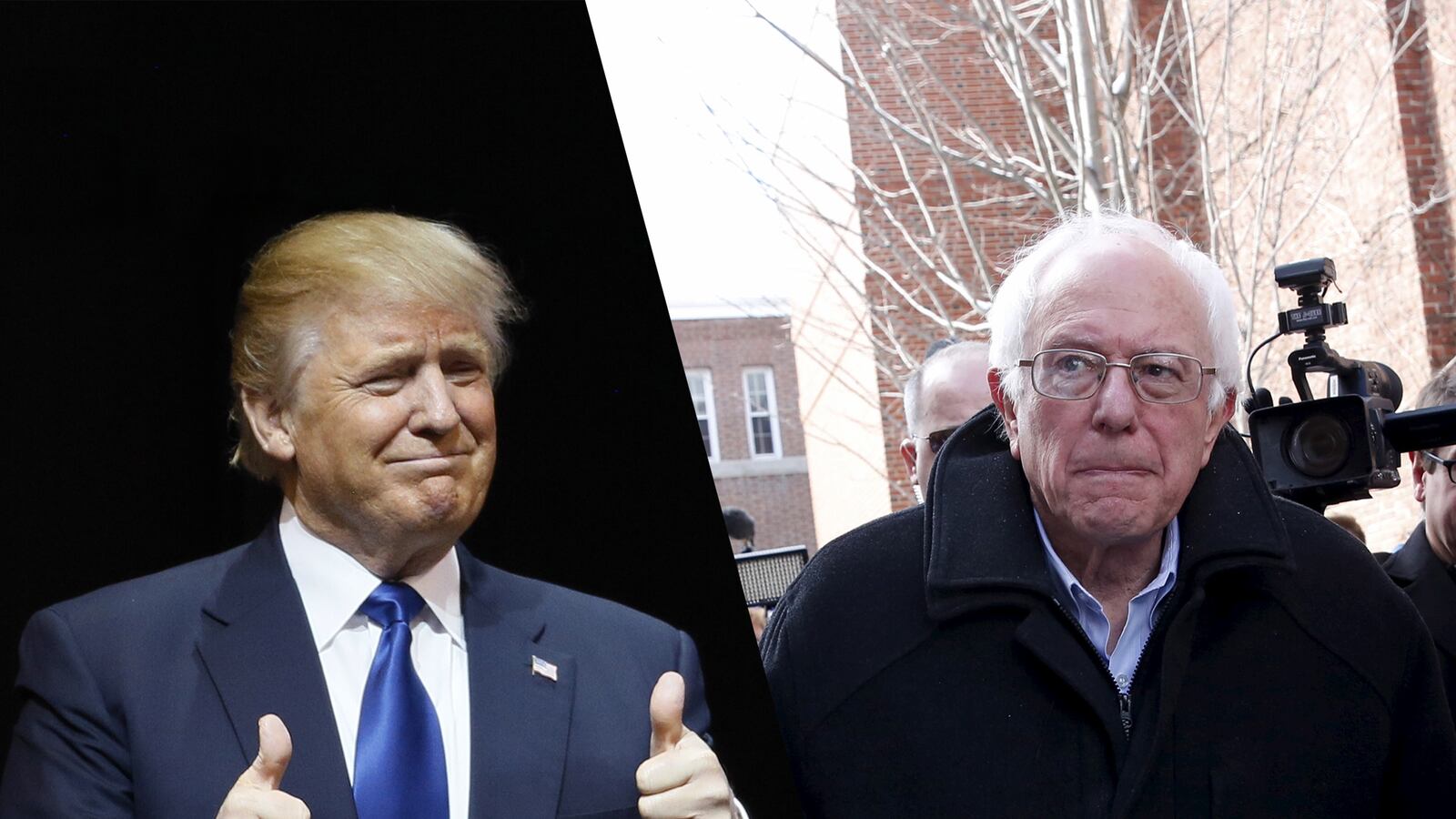 cheats/2016/02/09/sanders-trump-win-new-hampshire/160209-sanders-trump-win-cheat_zjxyj2