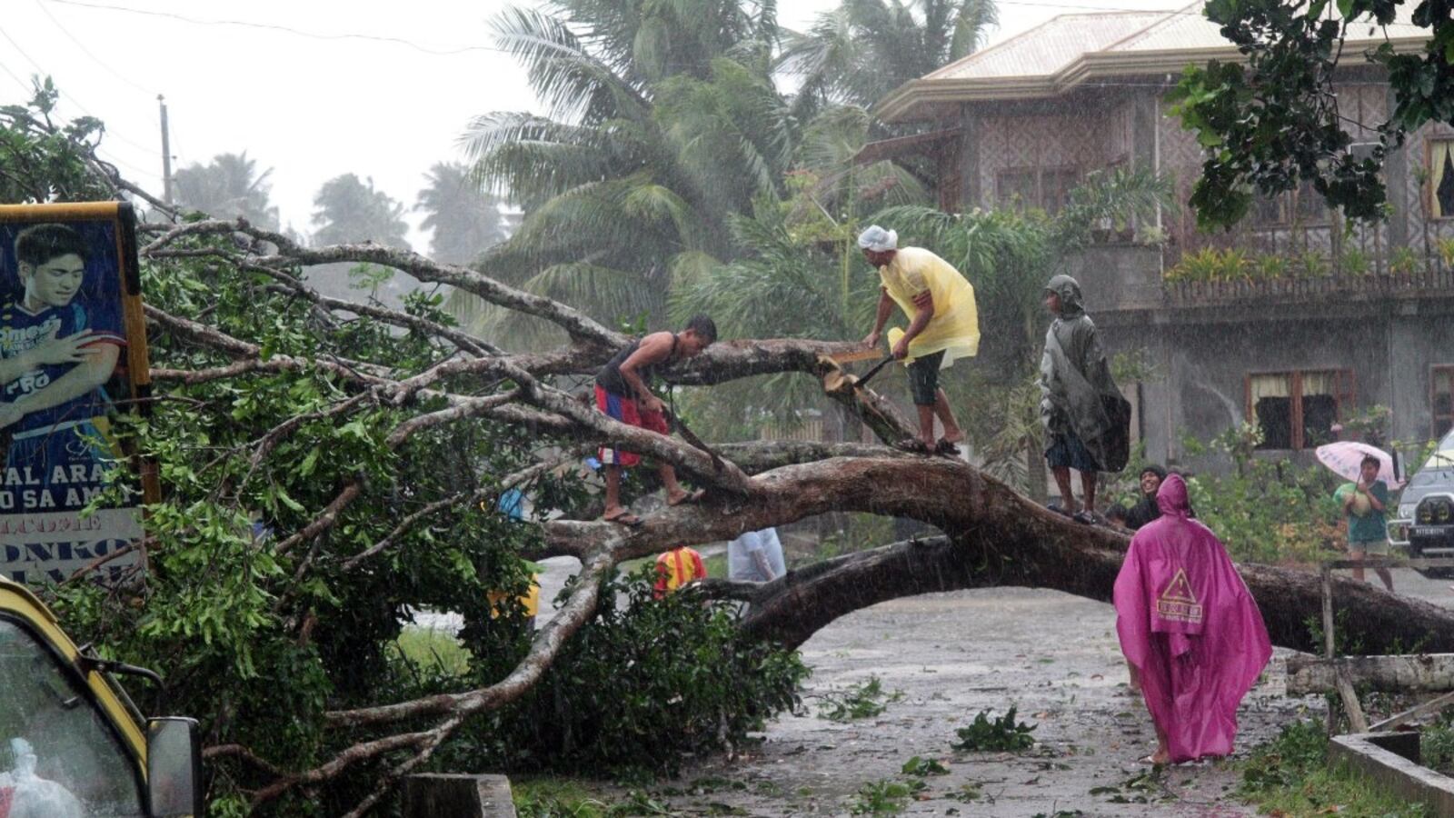 cheats/2012/12/03/thousands-flee-philippinnes/typhoon-bobha-philippines-cheat_skba8o