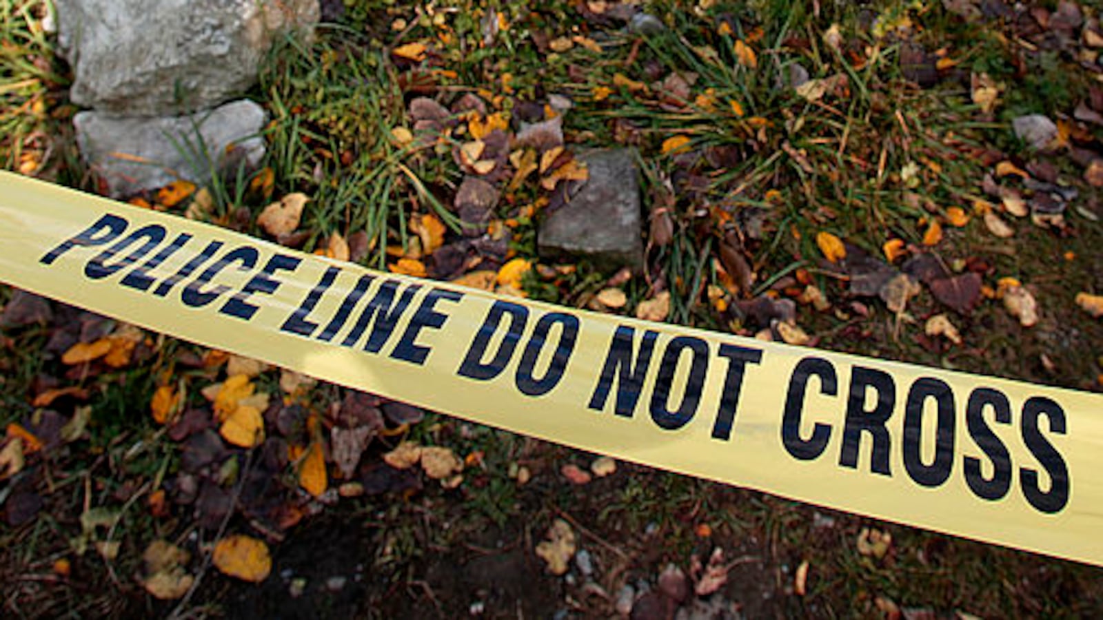 GettyImages-187249848_fbsg81