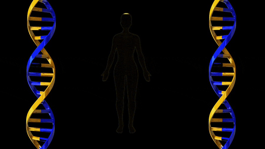 180430-Genome-hacked-heroA_oekptw