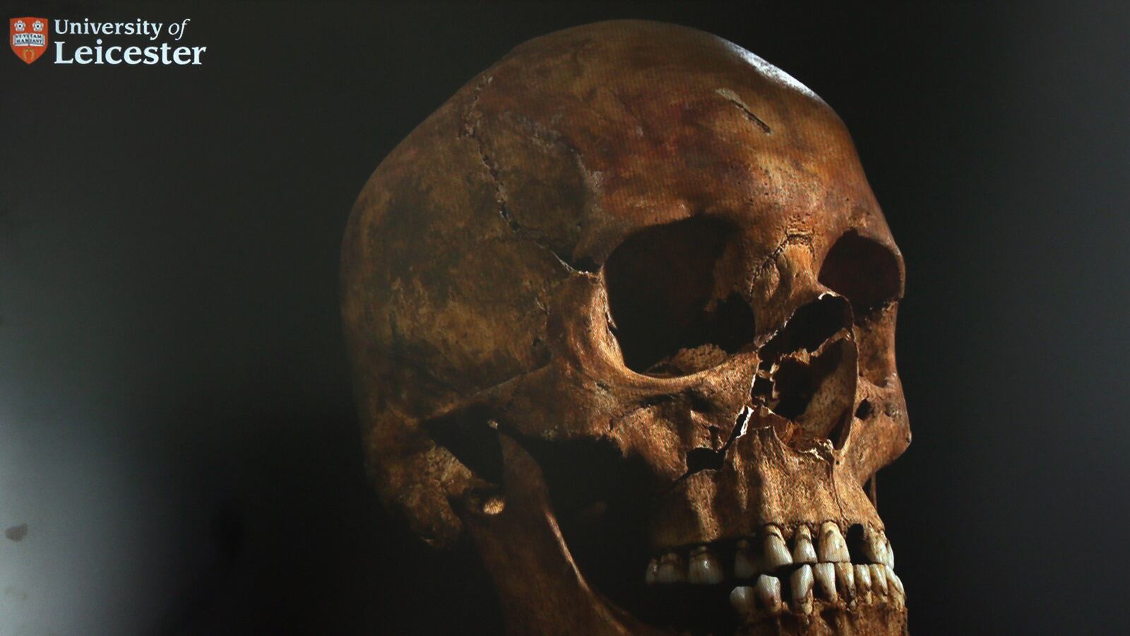 cheats/2013/02/04/confirmed-skeleton-is-richard-iii/130204-king-richard-skeleton-cheat_ei9gam