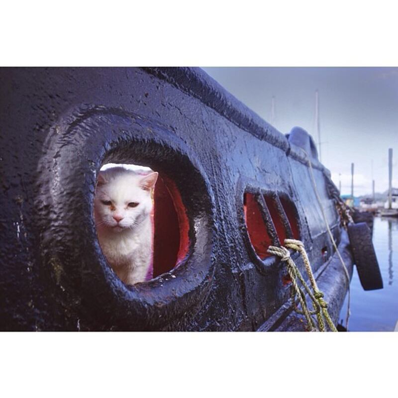 galleries/2015/06/21/instagrammer-of-the-week-taylorfreesolo/150619-instagram-week-02_yjhfke