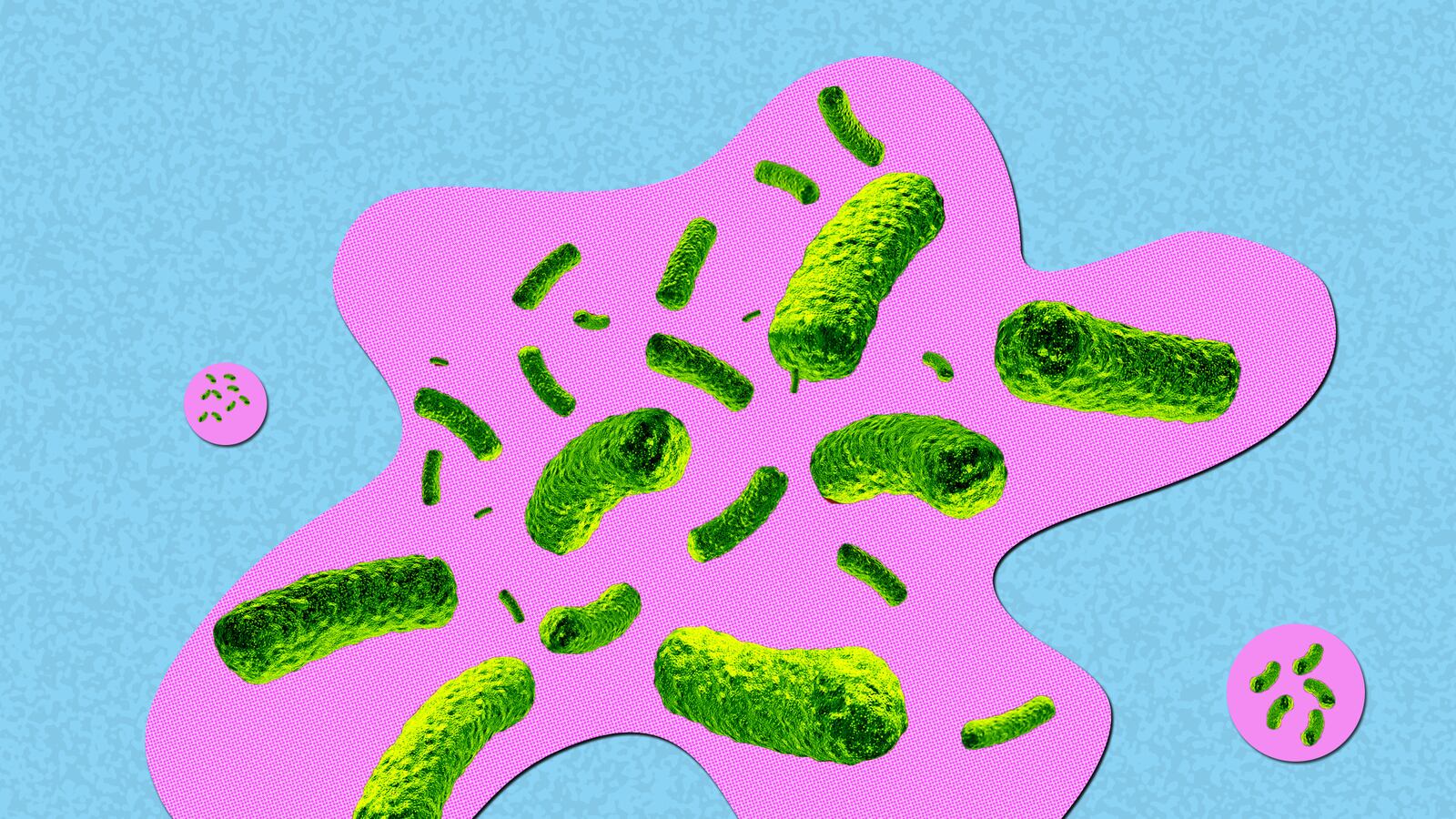 articles/2015/08/22/this-machine-vomits-for-science/150821-arnold-puke-tease_p646fl