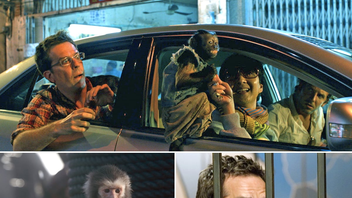 articles/2011/07/05/pirates-of-the-caribbean-the-hangover-part-ii-favorite-movie-monkey-scenes/best-monkey-movie-scenes-box_ncvmdv