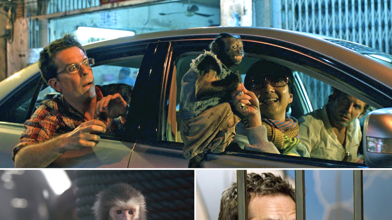 articles/2011/07/05/pirates-of-the-caribbean-the-hangover-part-ii-favorite-movie-monkey-scenes/best-monkey-movie-scenes-box_ncvmdv