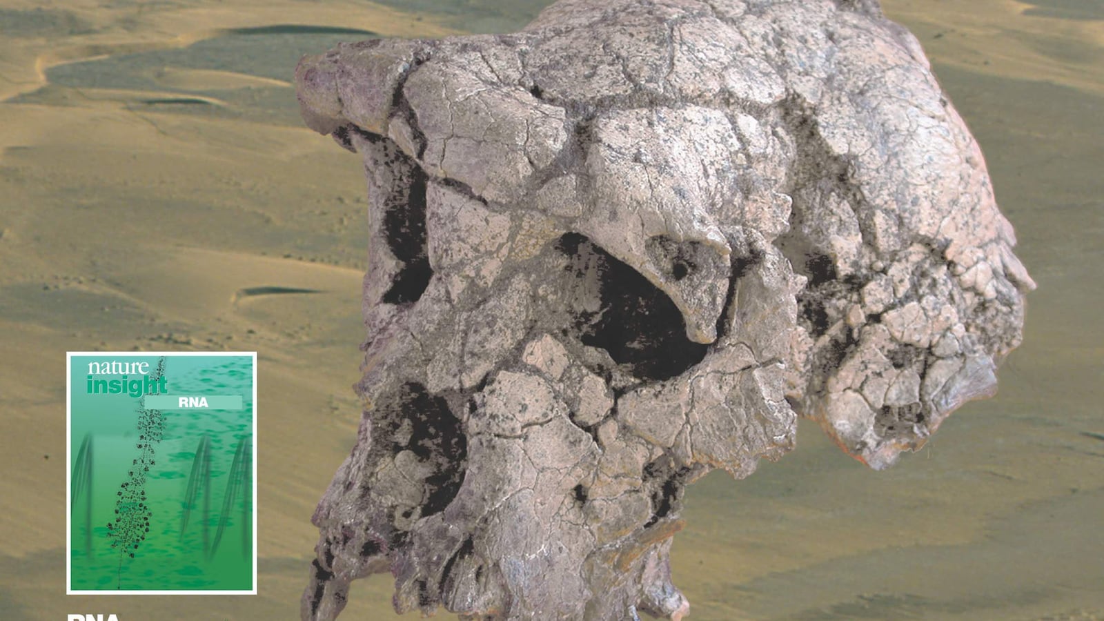 GettyImages-1008180_bkvc7f