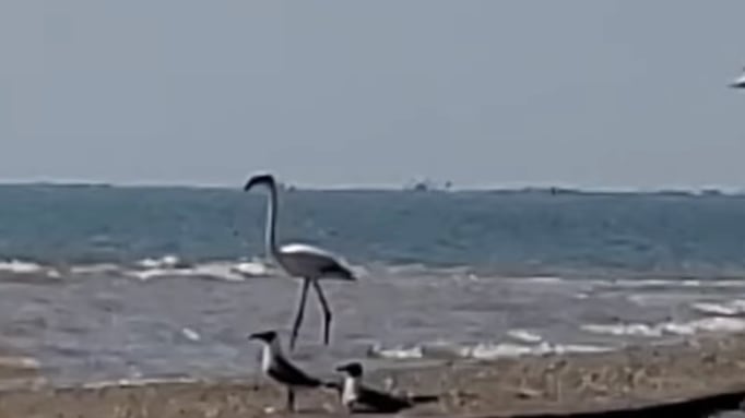 Screen_Shot_2022-03-29_at_9.47.10_PM_mtdwez