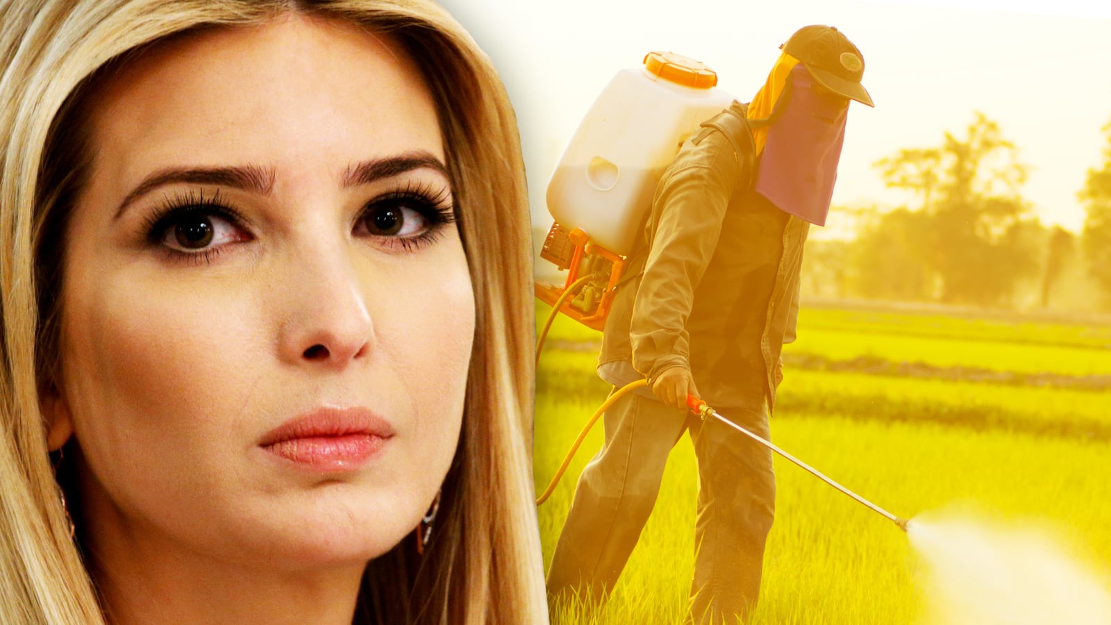 articles/2017/04/21/ivanka-trump-s-latest-shocking-hypocrisy/170420-daly-ivanka-pesticides-tease_bsmmm7
