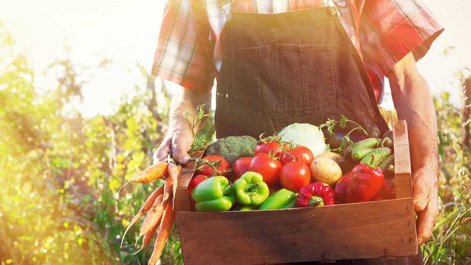 articles/2015/10/01/foodscaping-a-beautiful-solution-to-food-deserts/150930-branom-foodscaping-tease_nyto1v