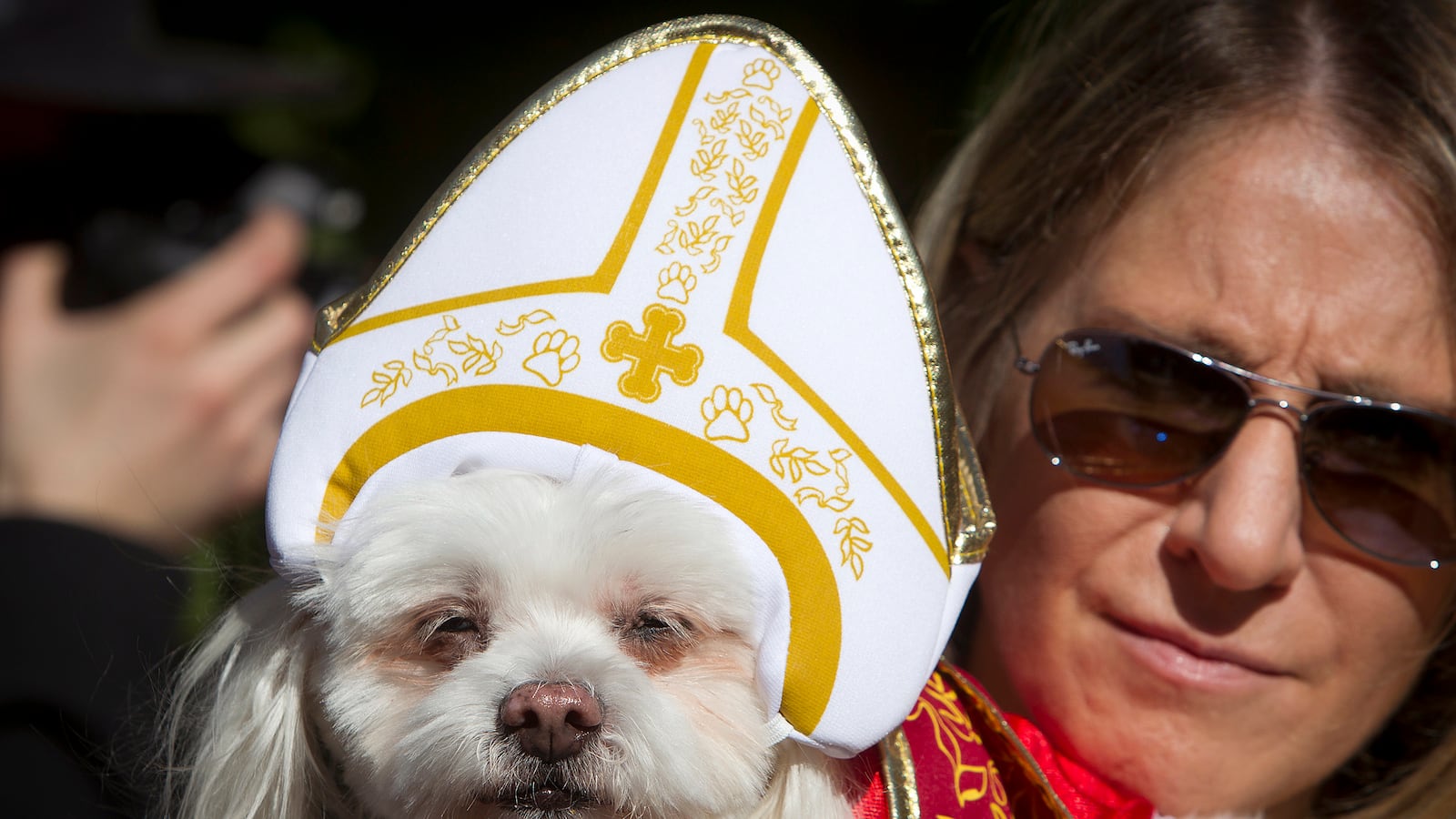 galleries/2014/10/28/happy-howl-o-ween-spooky-animals-that-will-make-you-smile/141027-pet-costumes-02_cabsqp