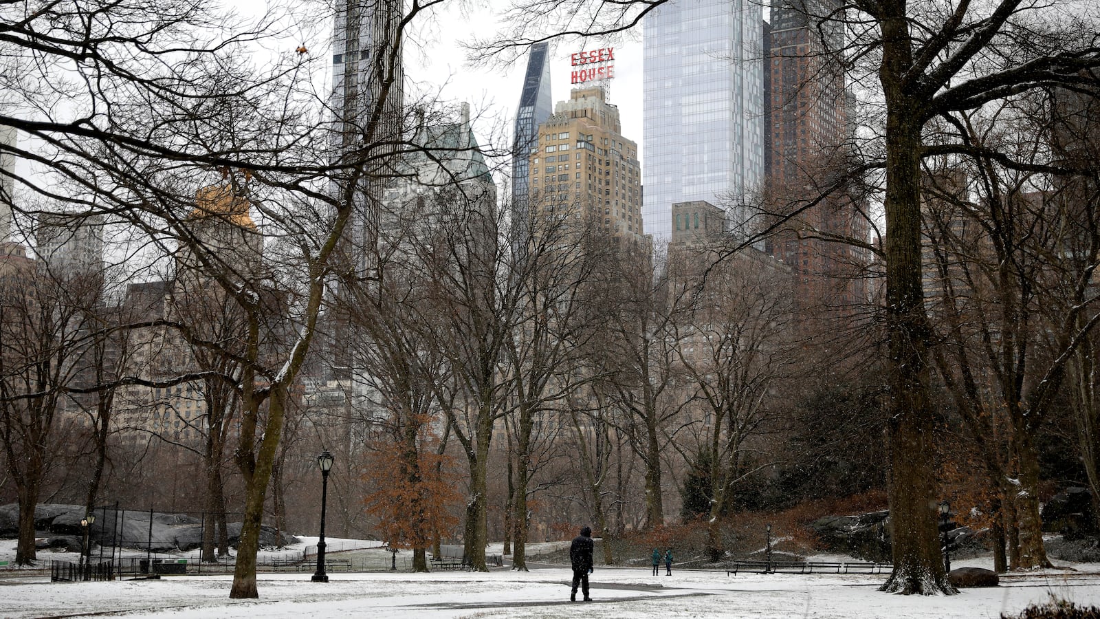 021621-amy-cooper-cheat_mmmwvw