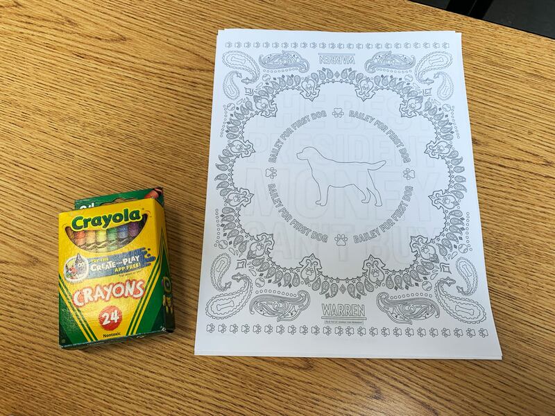 200209-stein-warren-embed-3_mu9nsh