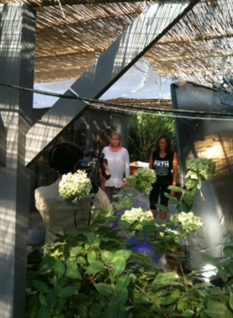 galleries/2010/08/25/best-celebrity-twit-pics/twitpi829---martha-stewart_gkroir