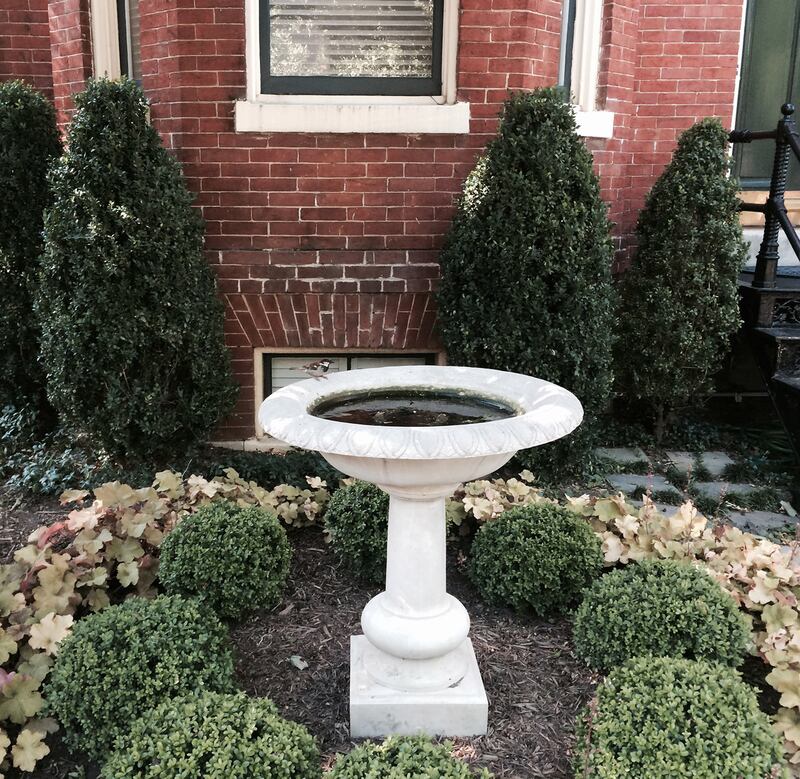 articles/2016/06/30/the-d-c-monument-full-of-zika-mosquitoes/160629-daly-washington-zika2-embed_eqdppv