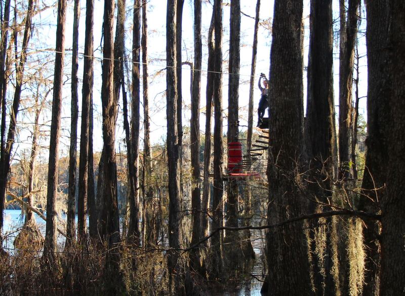 210306-tallahassee-tourism-embed-4_lujyv0