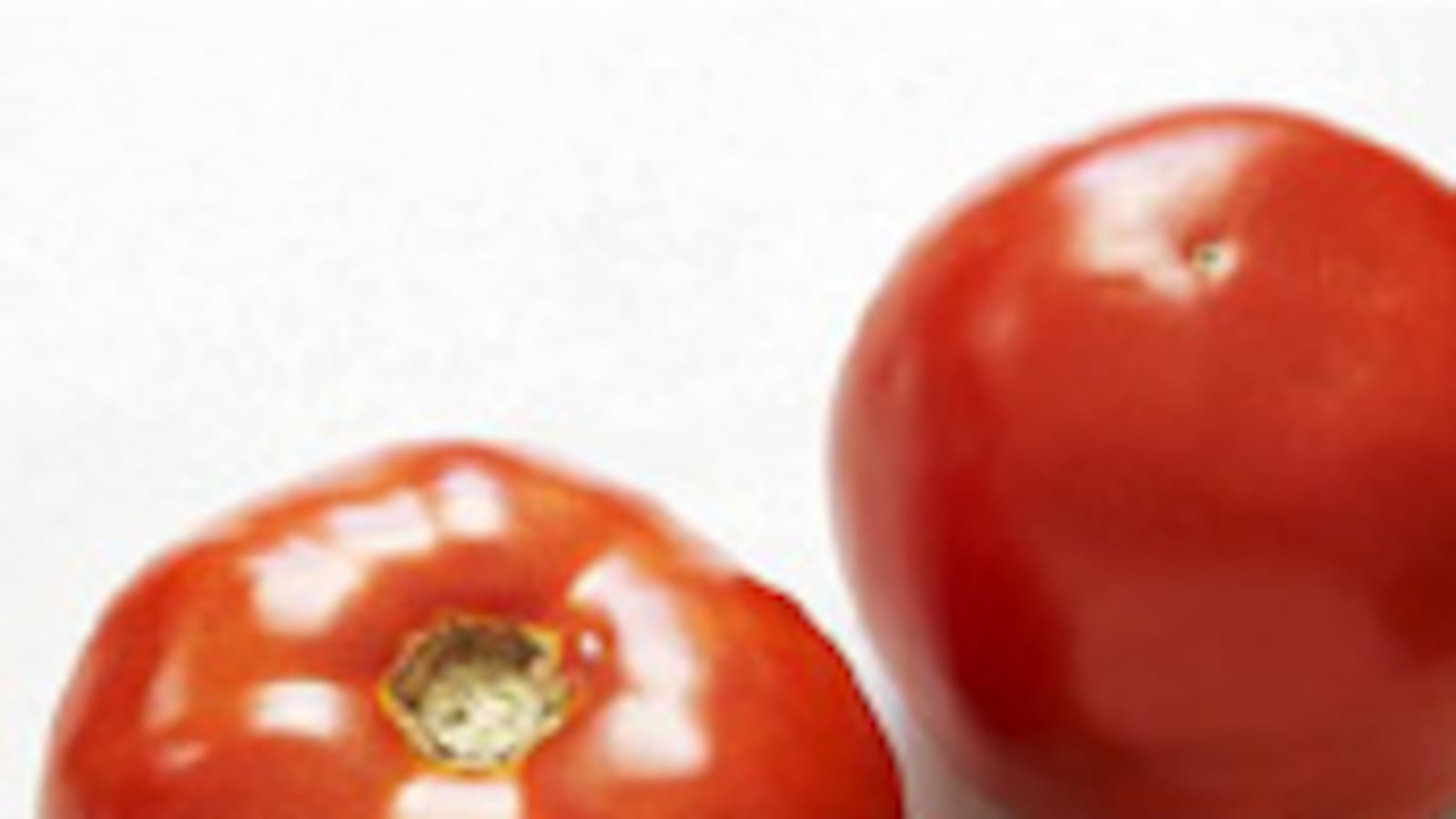 articles/2009/08/18/the-only-food-that-matters/workman-tomato_44137_ai17fs