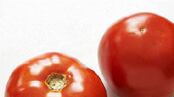 articles/2009/08/18/the-only-food-that-matters/workman-tomato_44137_ai17fs