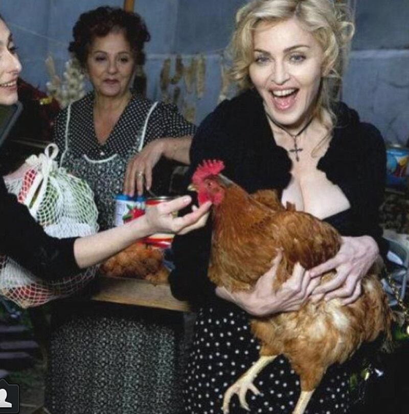 galleries/2013/06/01/cara-delevingne-dolce-gabbana-more-fashion-instagrams-photos/130531-madonna_dhr7nq