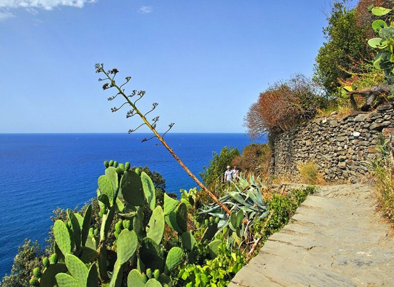 galleries/2013/06/02/the-13-best-hiking-trails-in-the-world-photos/130531-hiking3_jrfasb