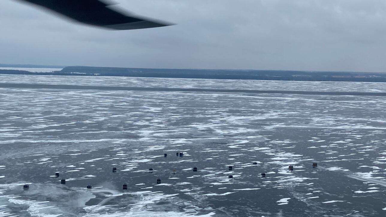 Screen_Shot_2021-02-05_at_11.51.00_AM_f3mita