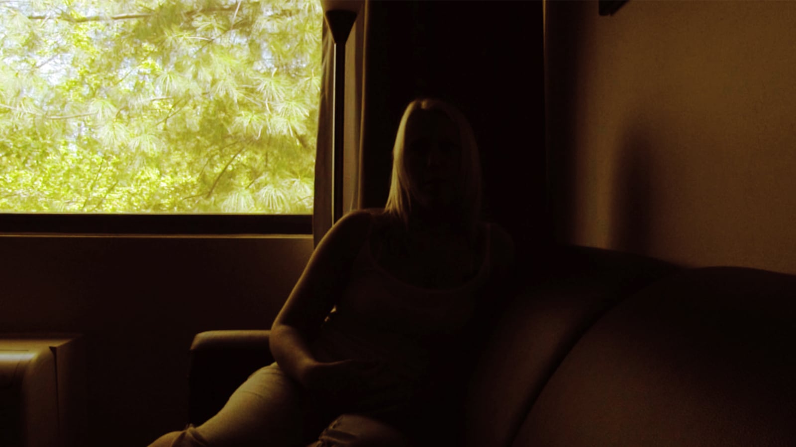 articles/2012/09/10/the-oldest-profession-evolves-how-the-web-transformed-prostitution/undercover-with-escort-gilderman_c8k7kv