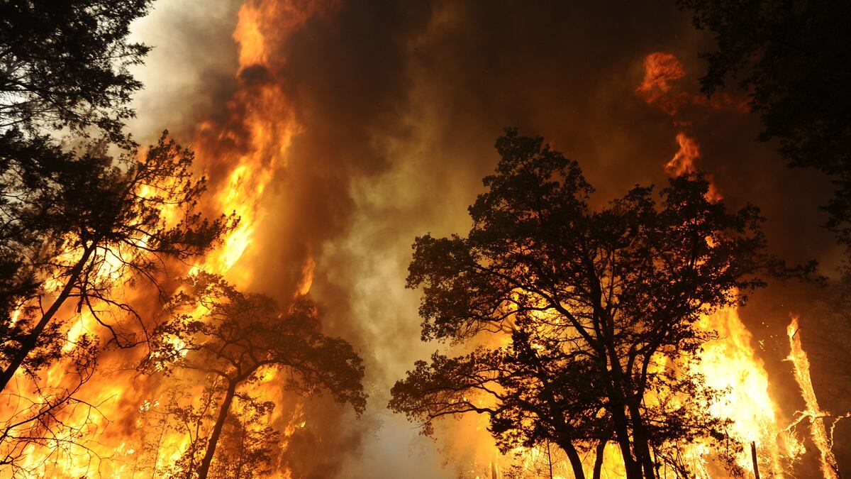 articles/2011/09/06/texas-bastrop-fire-photos-videos-of-blaze/texas-wildfire-worst-in-history-box_hpojbu
