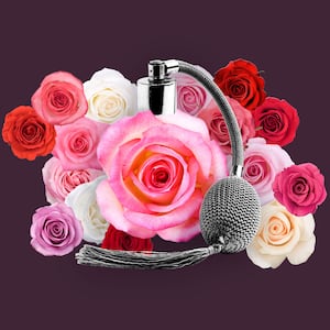 Bottle of perfume with roses around it