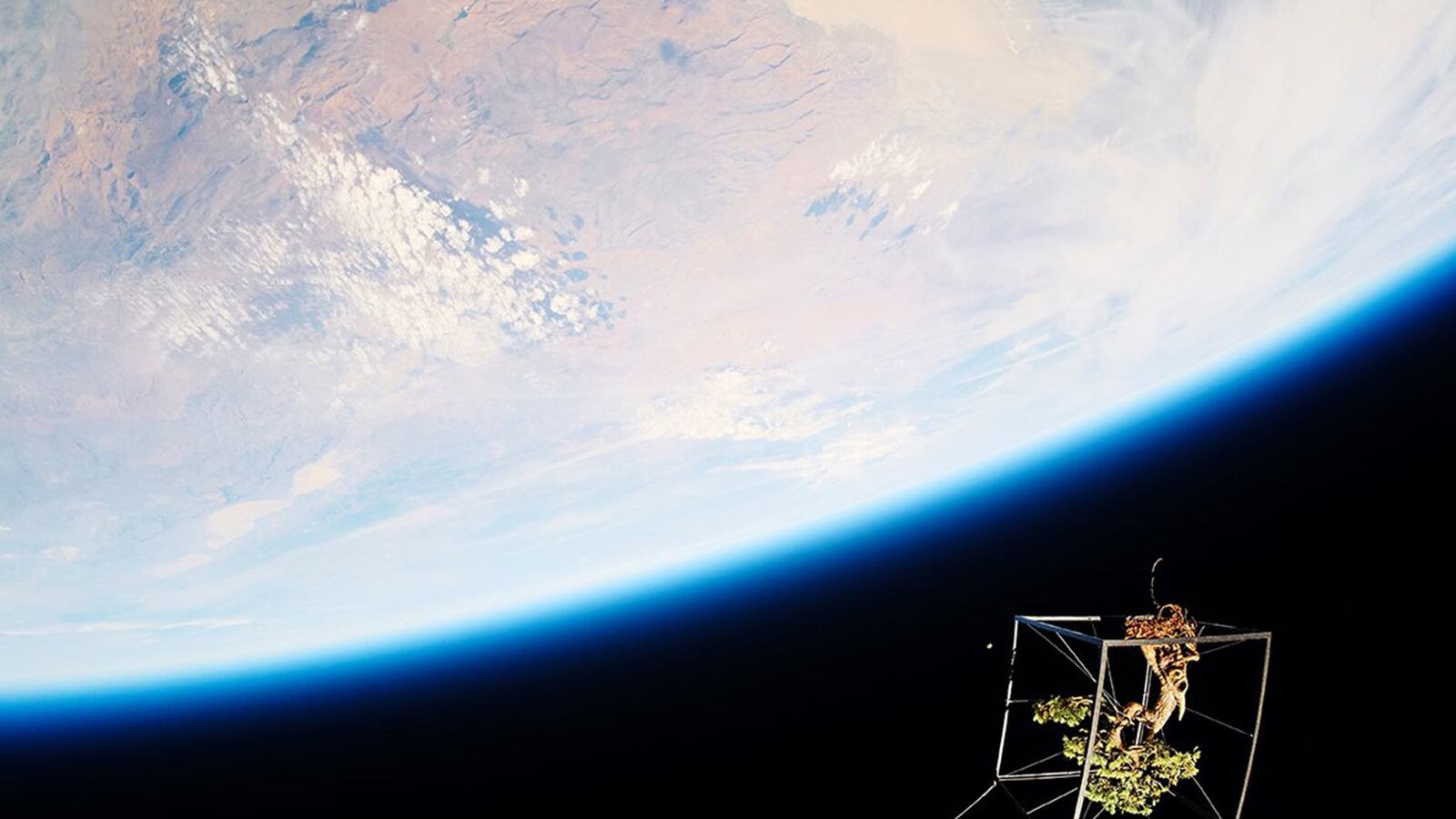 articles/2014/07/23/a-bonsai-tree-goes-to-space-for-art/140723-bonsai-space-tease_oeol3e