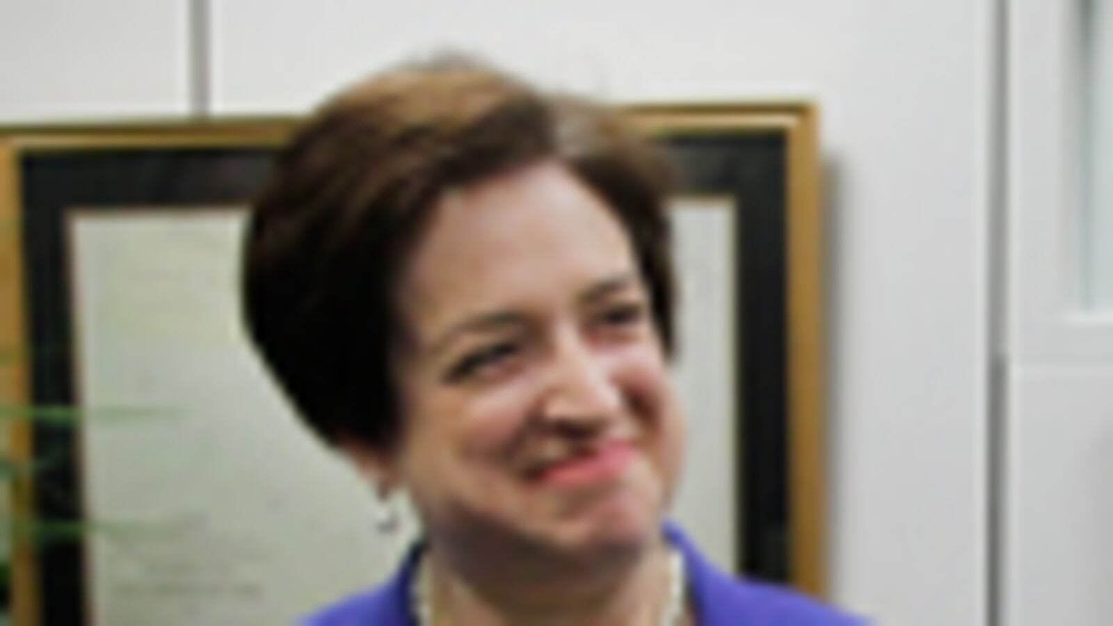 cheats/2010/05/26/signs-of-kaganrsquos-ambition-at-harvard/elena-kagan-2_jje8y8