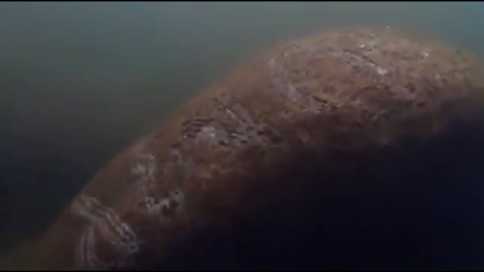 Screen_Shot_2021-01-11_at_5.24.36_PM_vf70vv