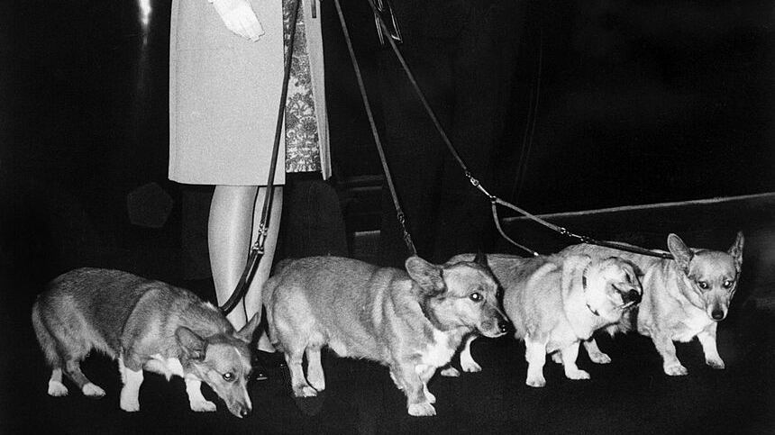 GettyImages-51952328_pxut4n