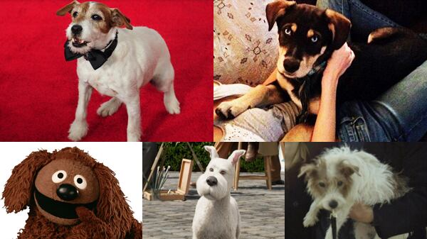 galleries/2011/12/05/uggy-and-other-famous-dogs-of-2011-photos/year-in-dogs-tease_acgddp