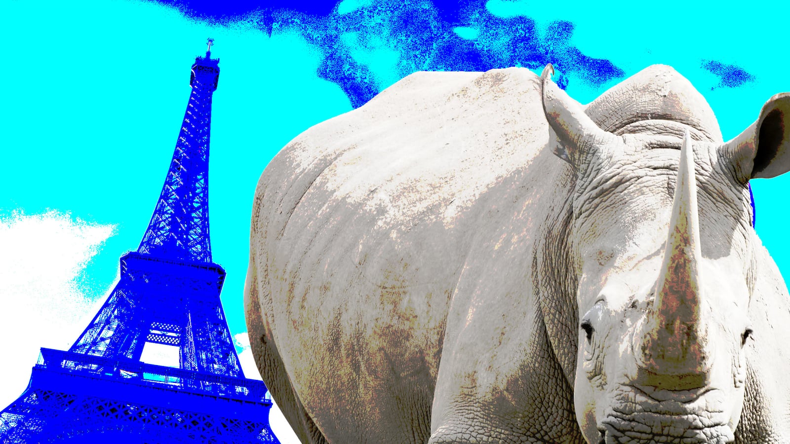 articles/2017/03/08/the-poaching-plague-costs-a-rhino-s-life-in-france/170308-zaleski-rhino-france-tease_imiwfd