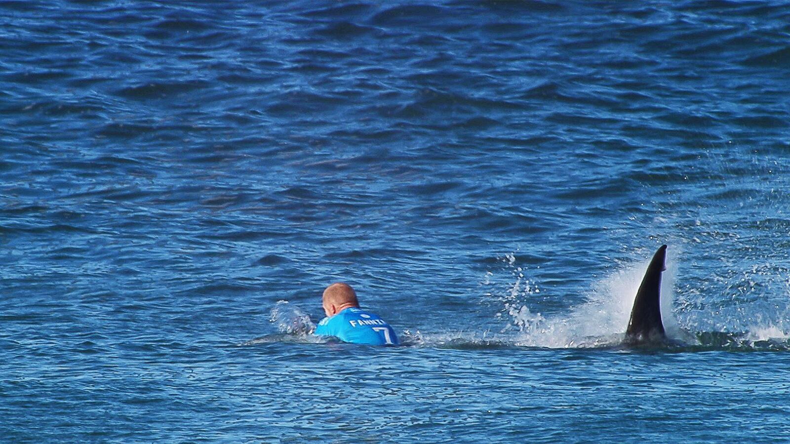 articles/2015/07/19/how-mick-fanning-punched-that-shark/150719-smith-shark-attack-tease_p8eolr