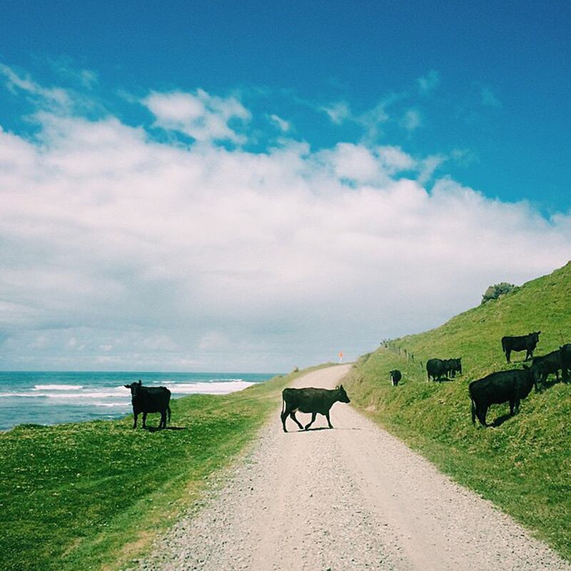 galleries/2015/05/23/instagrammer-of-the-week-jeff-johnson/150522-instagrammer-11_msiccj