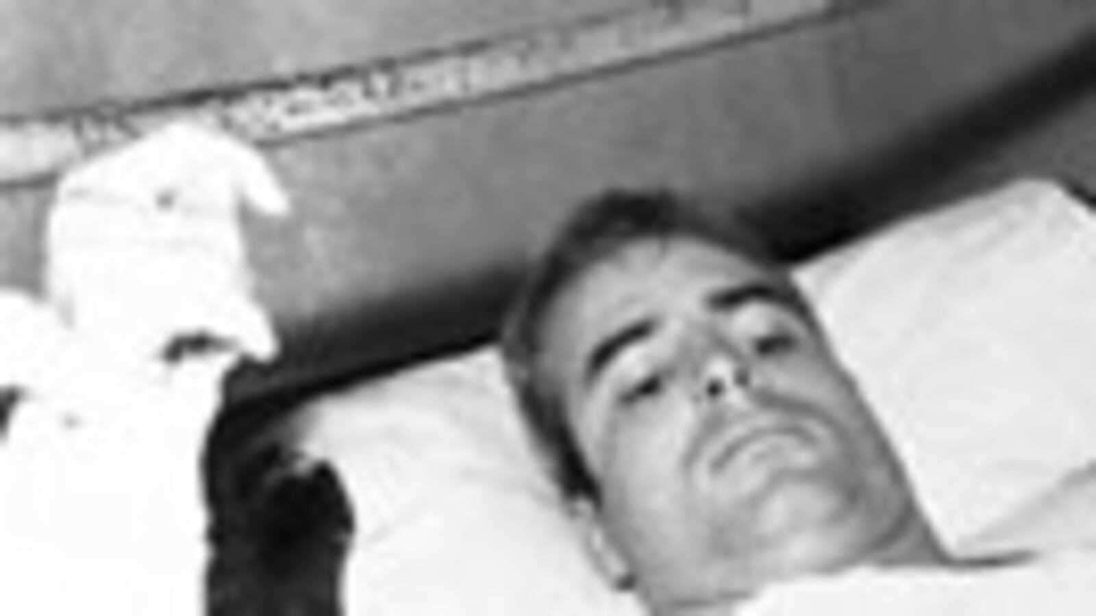 articles/2008/10/08/mccain-never-called-himself-a-hero/alexander-mccain_548_v6olfy