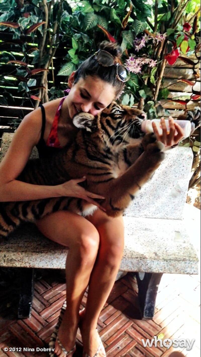 galleries/2013/01/13/lena-dunham-yoko-ono-more-celebrity-twitter-pictures-photos/130113-celeb-twitpic-11-dobrev_qbyyqs