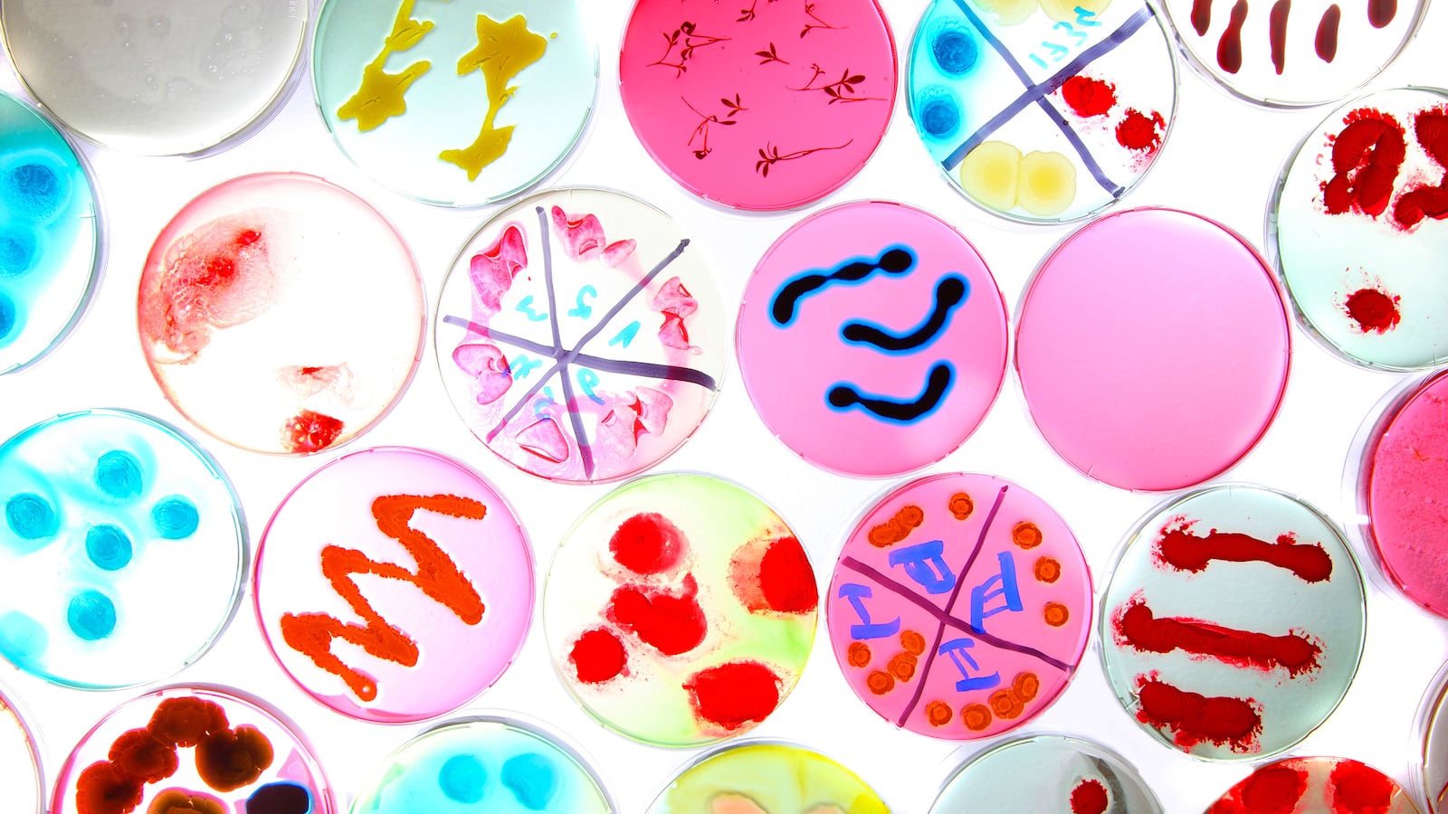 articles/2016/03/28/bacteria-s-achilles-heel-is-overblown/160327-sepkowitz-bacteria-tease_azo9yp