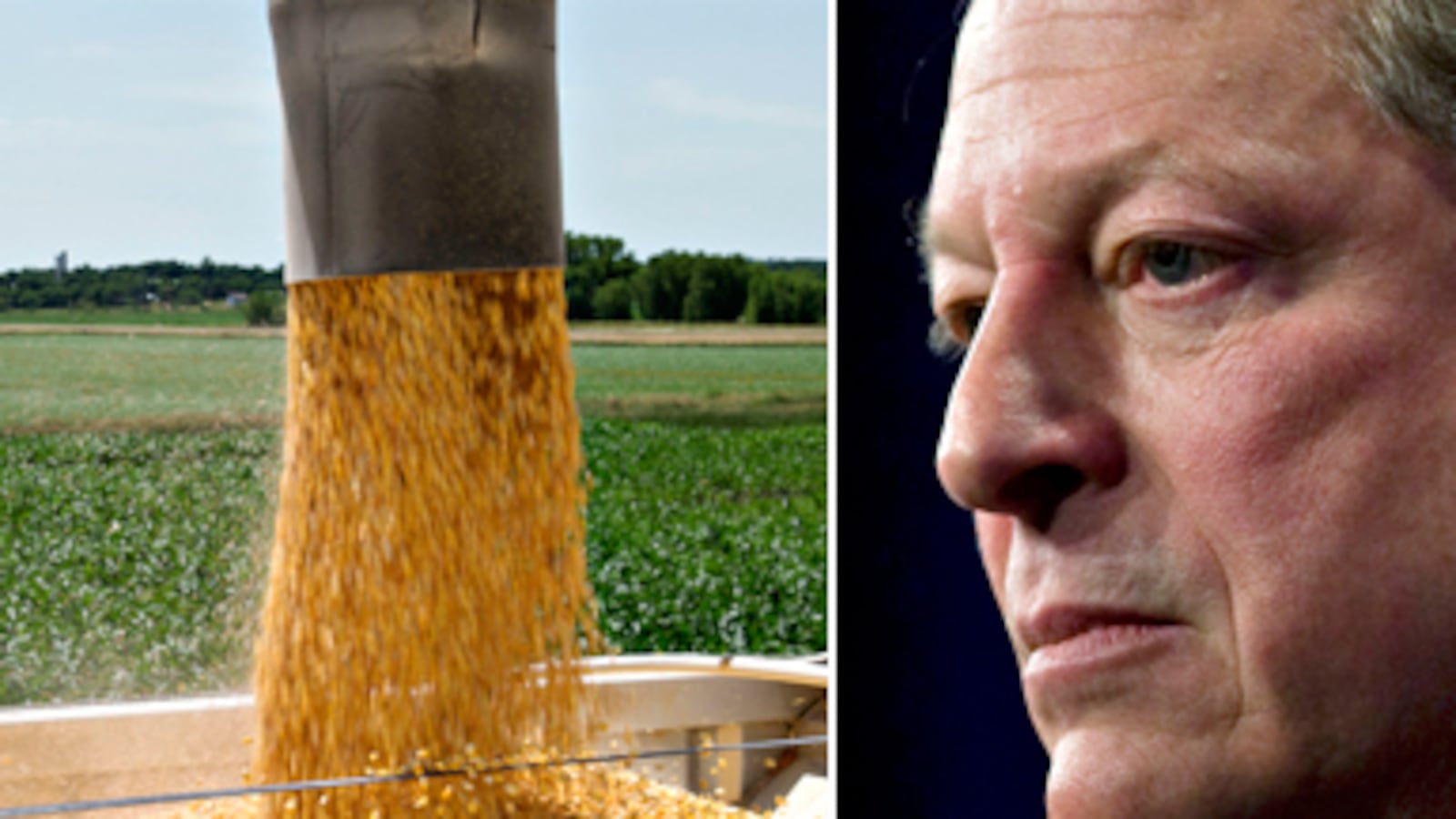 articles/2010/11/30/al-gores-alcohol-problem-admits-ethanol-subsidies-a-mistake/bryce-gore-ethanol_144439_duxnzz