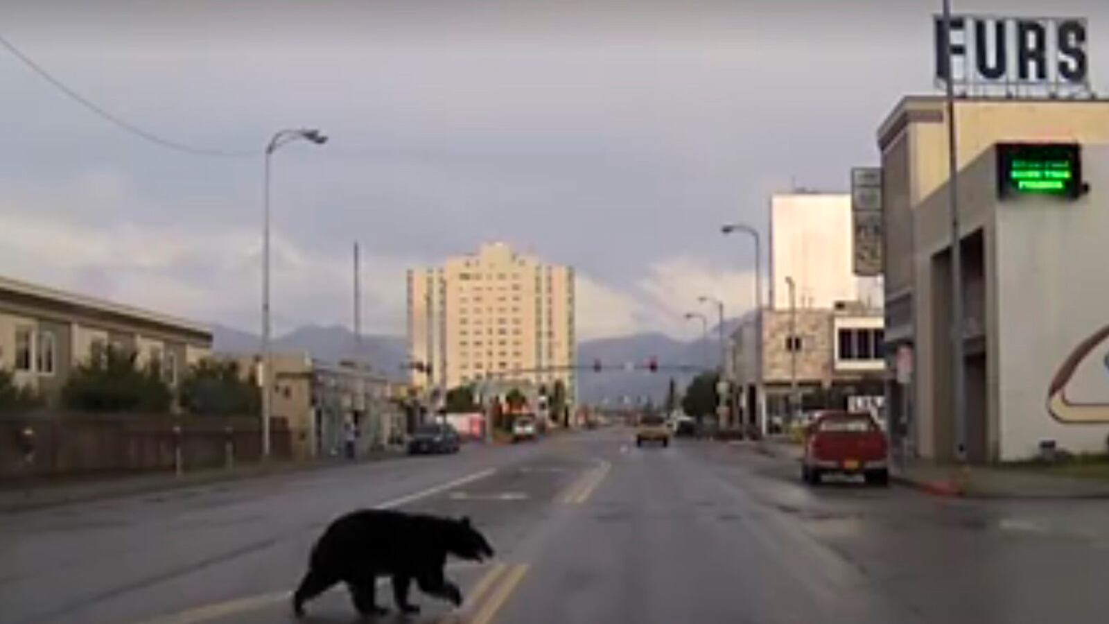 articles/2016/09/21/watch-alaska-cops-chase-bear-for-2-hours/160921-Place-cops-chase-bear-alaska-Tease_hxil4u