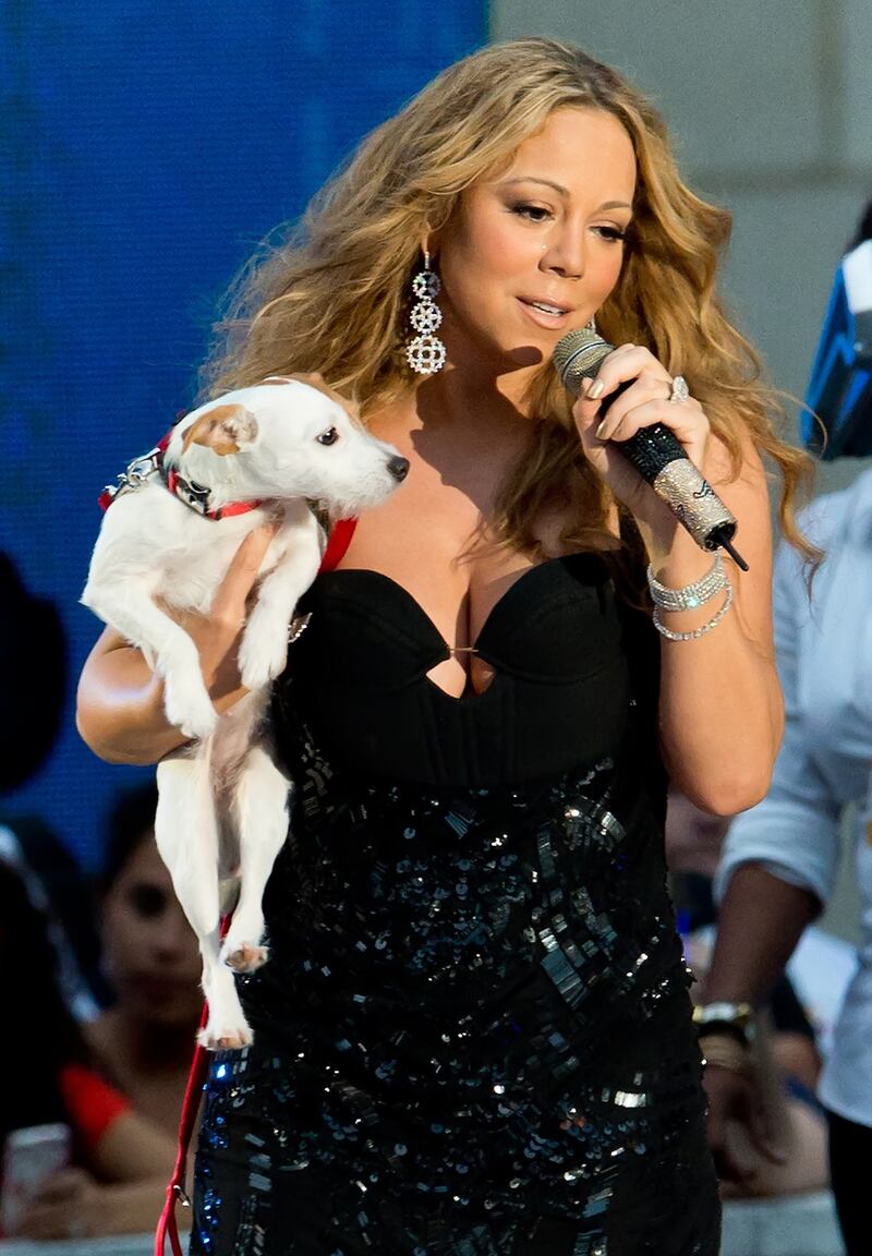 galleries/2012/11/03/blake-lively-usher-more-celebrities-crazy-about-their-dogs-photos/mariah-carey-celeb-dogs_o9zssd