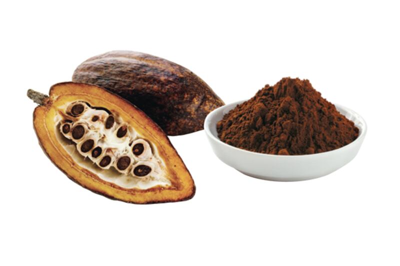 galleries/2012/02/05/valentine-s-day-presents-picked-by-chef-jacques-torres/jacques-torres-want-om08-cacao_packo8