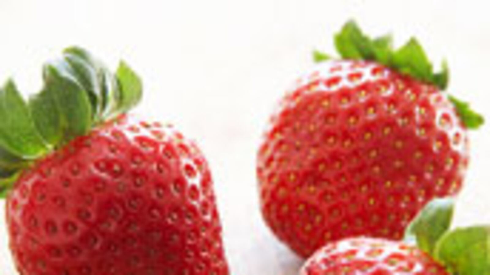 articles/2009/07/07/profiting-from-the-fruit-meltdown/ultimate-vs-budget---strawberry-roulade_h5nfsu