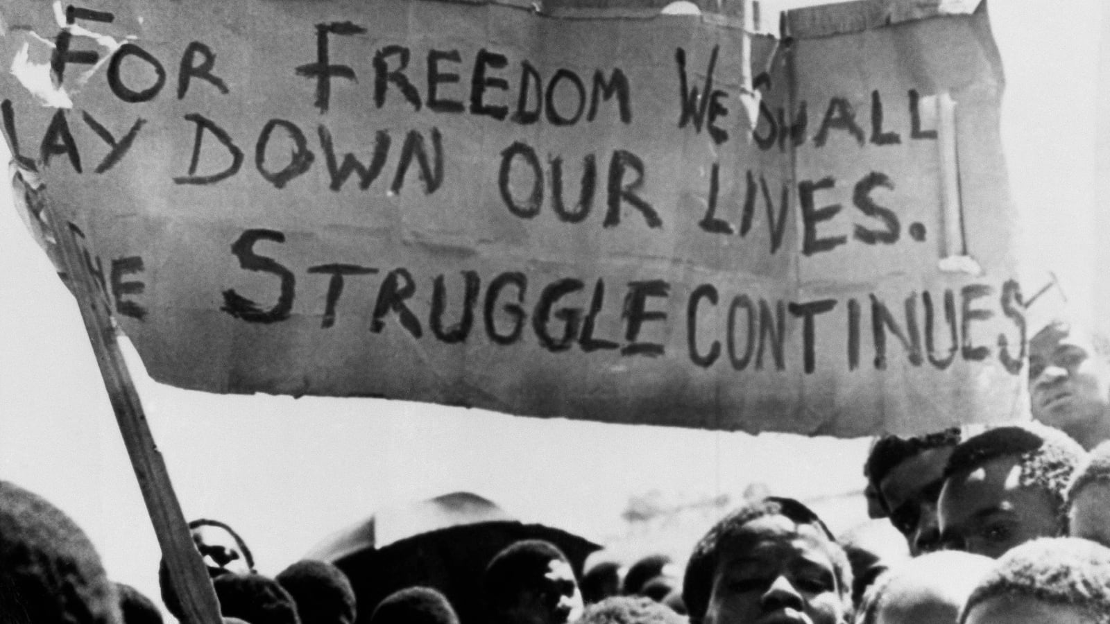 articles/2012/11/27/the-lion-sleeps-tonight-rian-malan-s-south-africa-reviewed/lion-sleeps-tonight-baker-tease_kgod50