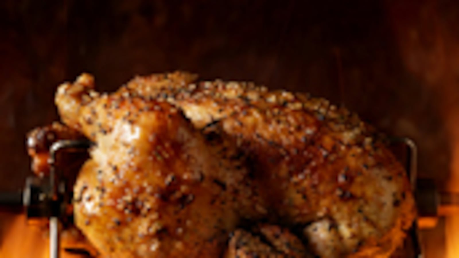 articles/2009/11/23/turkey-day-bacchanal/idone-turkey-day-bacchanal_65035_vk4gjl