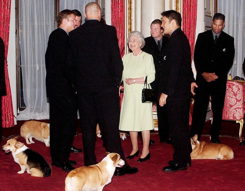 galleries/2012/08/06/queen-elizabeths-corgis-a-brief-history-photos/queen-elizabeth-corgis-5_lqltlg