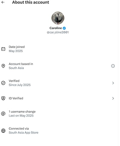 Donald Trump, 79, Falls for Foreign Trolls Posing as MAGA Influencers